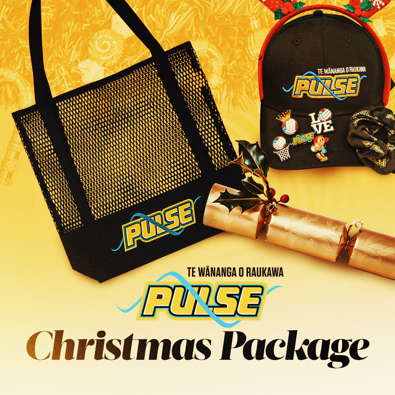 Pulse Christmas Package
